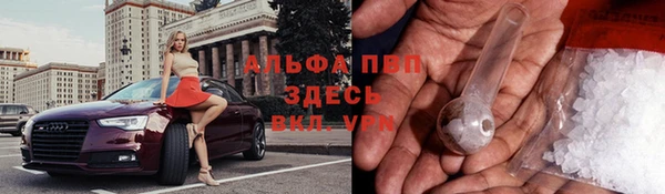 прущие крисы Алексин