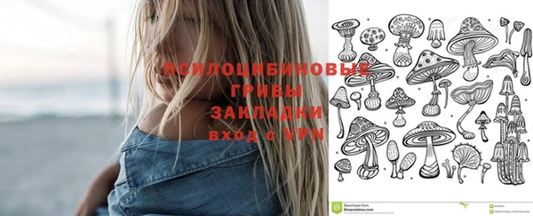 прущие крисы Алзамай